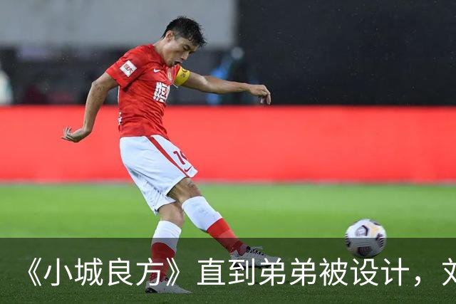 《小城良方》直到弟弟被设计，刘铮亮才明白，艾辰有所隐瞒