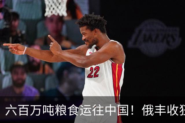 六百万吨粮食运往中国！俄丰收狂销刷出新纪录，我们在依赖它吗？