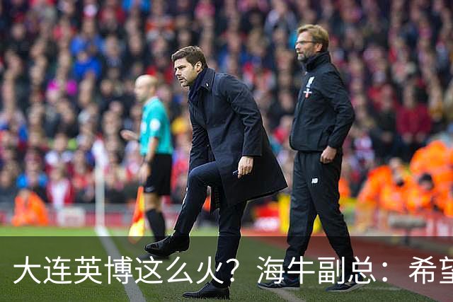 大连英博这么火？海牛副总：希望像大连一样，争相入股，却入不了