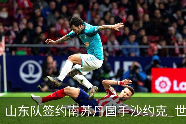山东队签约南苏丹国手沙约克 世界杯场均13分
