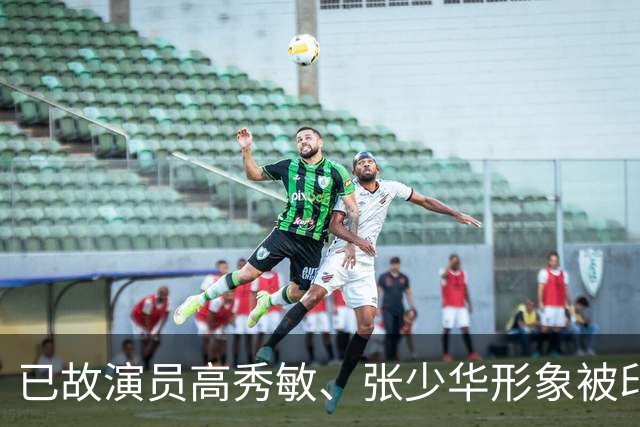 已故演员高秀敏、张少华形象被印上祭祀用品