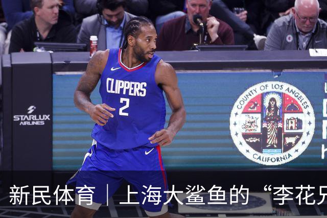 新民体育｜上海大鲨鱼的“李花兄弟”回来了！