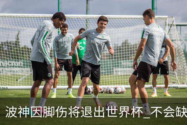 波神因脚伤将退出世界杯 不会缺席绿军训练营