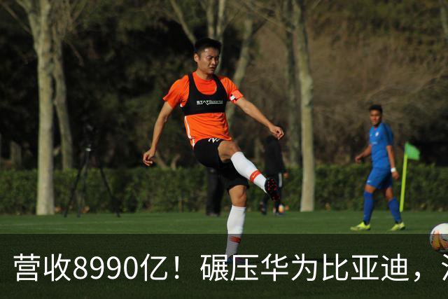 营收8990亿！碾压华为比亚迪，江苏首富夫妻太低调
