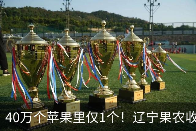 40万个苹果里仅1个！辽宁果农收获罕见“猪鼻苹果”